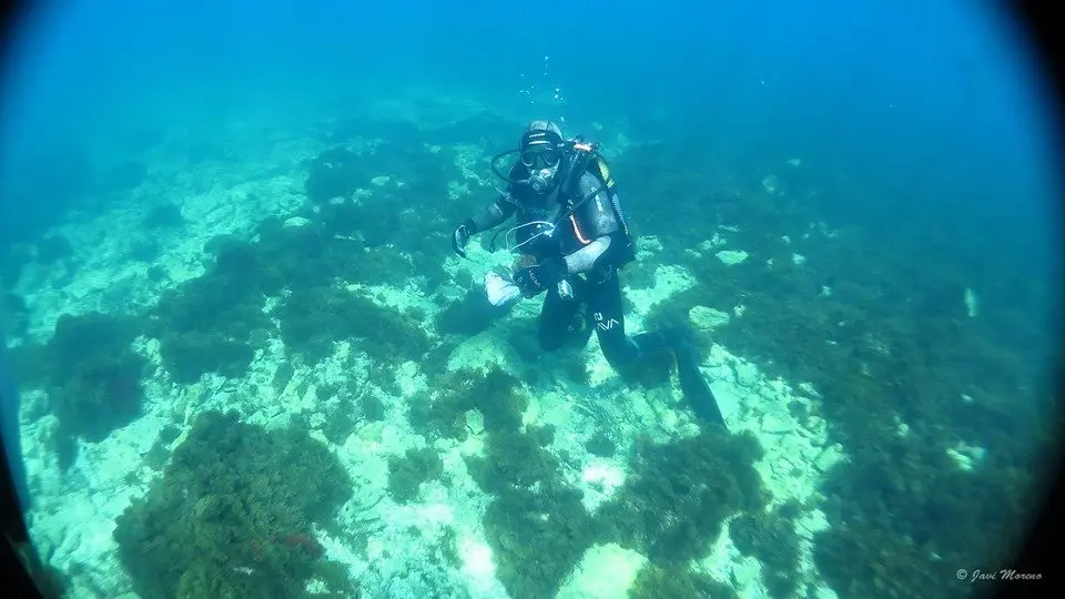buceo 2