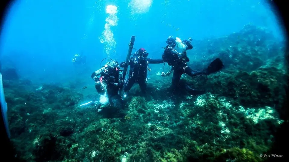 buceo 7