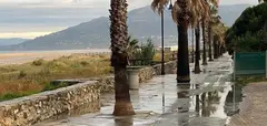 Playa de los Lances (Tarifa, Cadiz), con nuevos vertidos seg&uacute;n alerta la asociaci&oacute;n ecologista Verdemar.

Playa de los Lances (Tarifa, Cadiz), con nuevos vertidos seg&uacute;n alerta la asociaci&oacute;n ecologista Verdemar.


7/6/2020