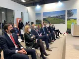 fitur alcaldes