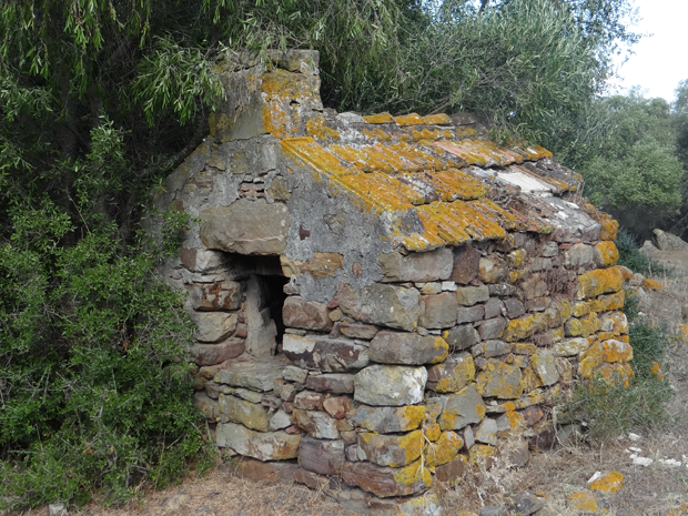 Horno-pan