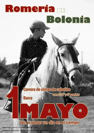 bolonia