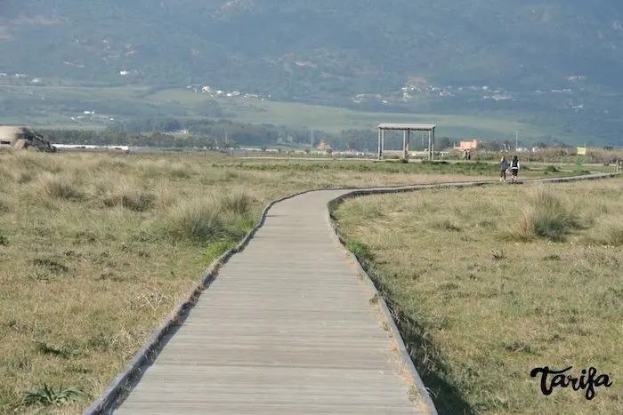 Sendero-en-el-paseo-del-Colesterol-en-Tarifa-en-Cádiz