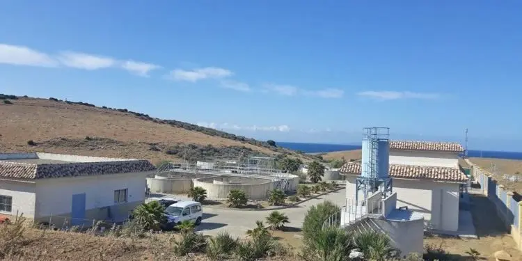 edar bolonia