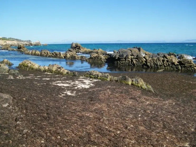 piscinas