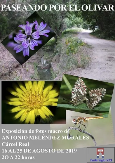 expo cande