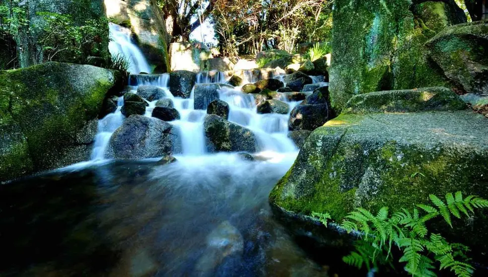 r&iacute;o de la miel