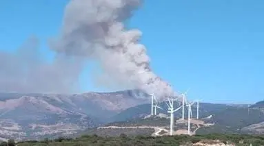 C&Atilde;&iexcl;diz.-Sucesos.- Declarado un incendio en el paraje Tajo de las Escobas en Tarifa



Incencdio declarado en el paraje Tajo de las Escobas en Tarifa





10/9/2019