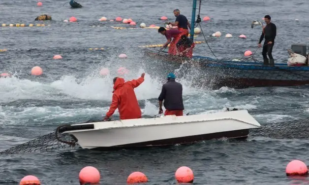 pescadores