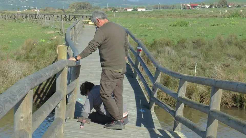 Un operario realiza los trabajos.