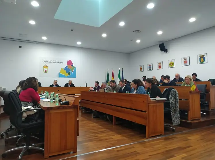 junta de comarca
