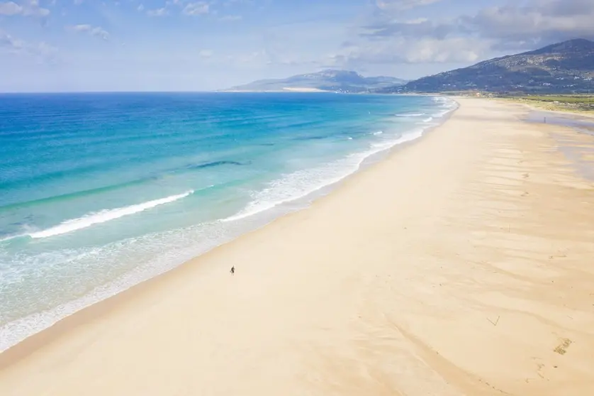 DJI_0782