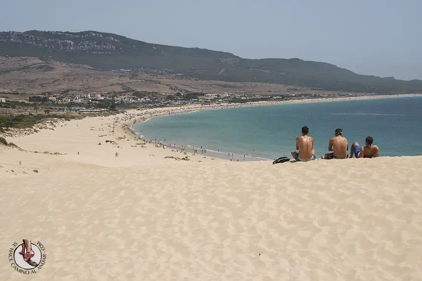 bolonia
