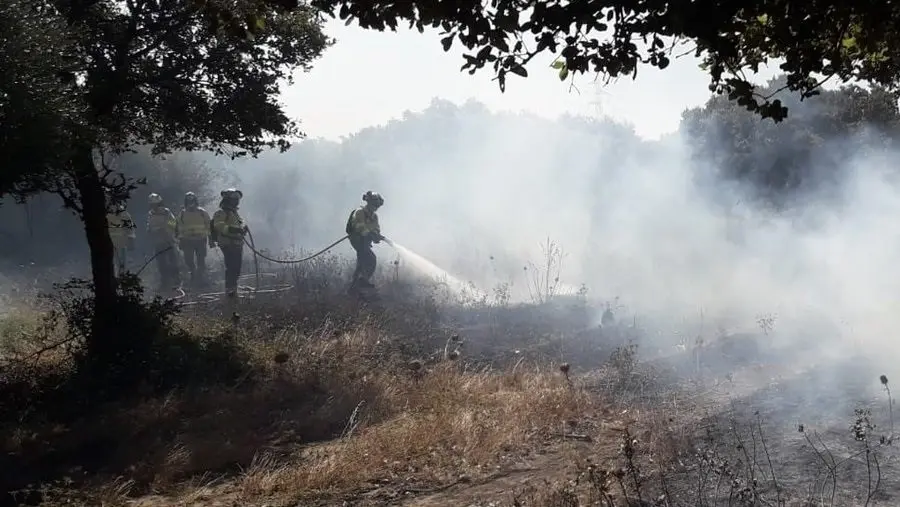 Bomberos act&uacute;an en el incendio.