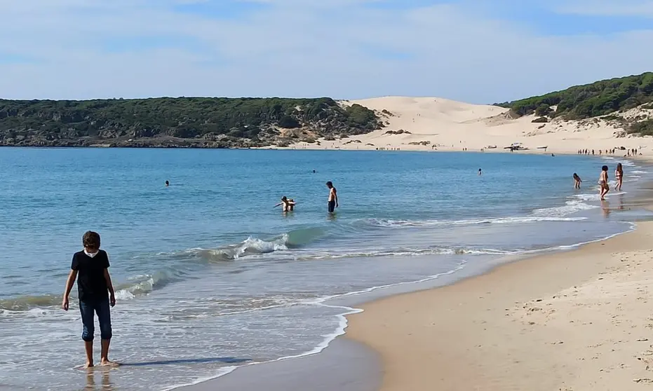 bolonia