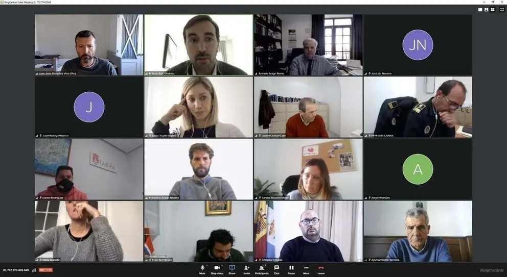 reuni&oacute;n telem&aacute;tica