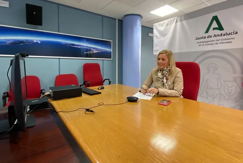 Pajares, durante la presentaci&oacute;n.