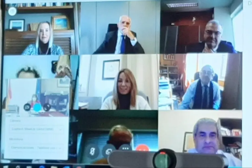 reuni&oacute;n telem&aacute;tica