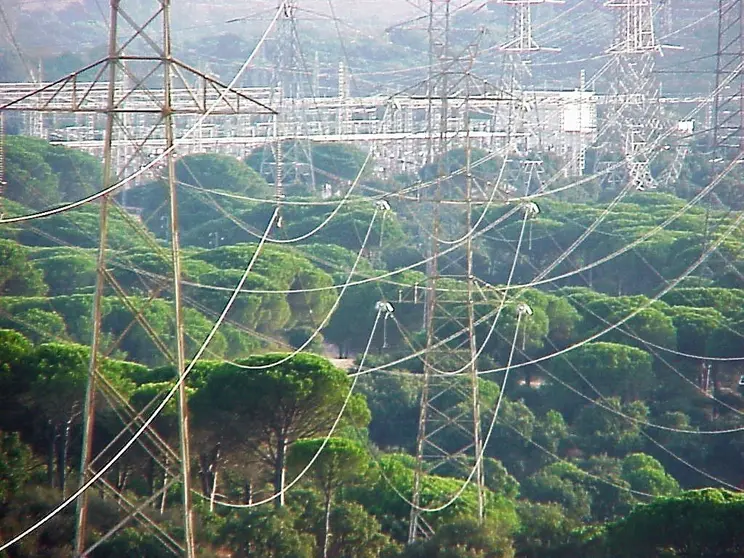 Cables en Pinar del Rey.