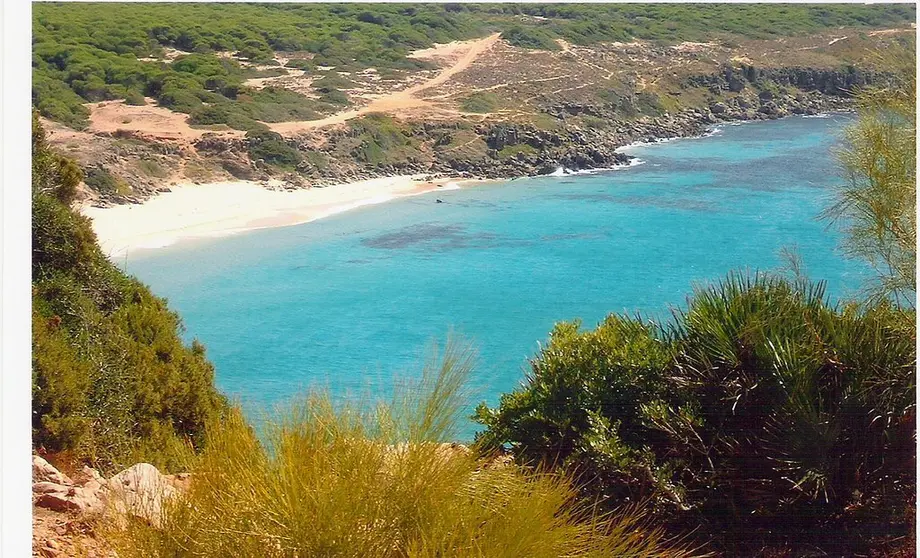 Playa de El Ca&ntilde;uelo.