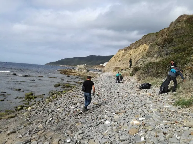 Limpieza del litoral.