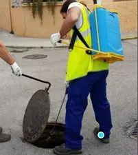 Un operario, en trabajos de desinsectaci&oacute;n.