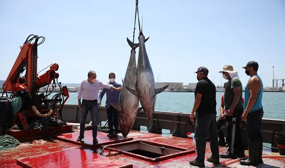 Bendodo en un barco almadrabero