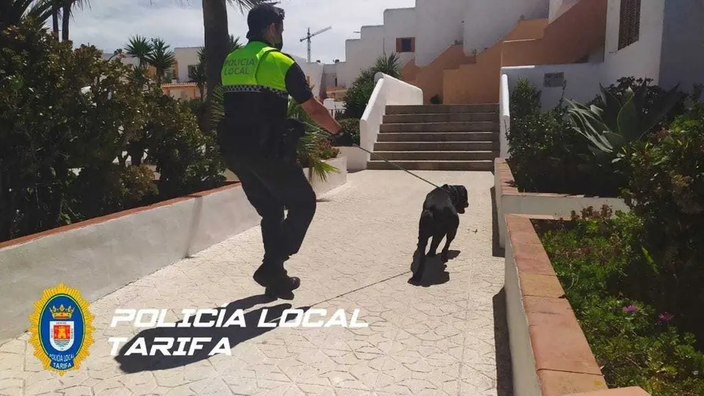 el perro interceptado