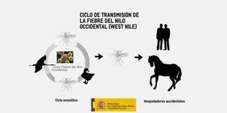 Cartel informativo.