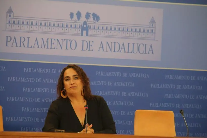 &Aacute;ngela-Aguilera-prensa-parlamento