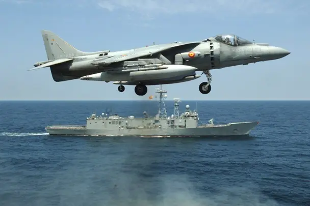 harrier