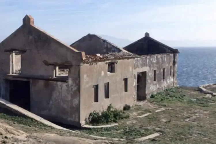 ciscenros