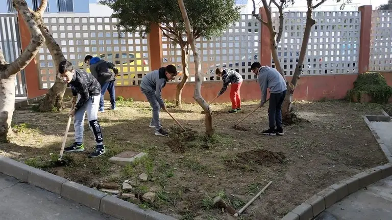 52743179_328504457783984_8261298379003265024_n