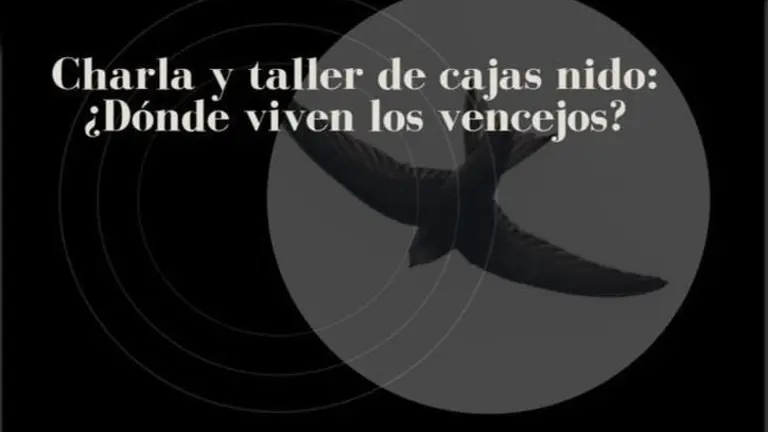 55483228_961744337364442_7406127565250756608_o