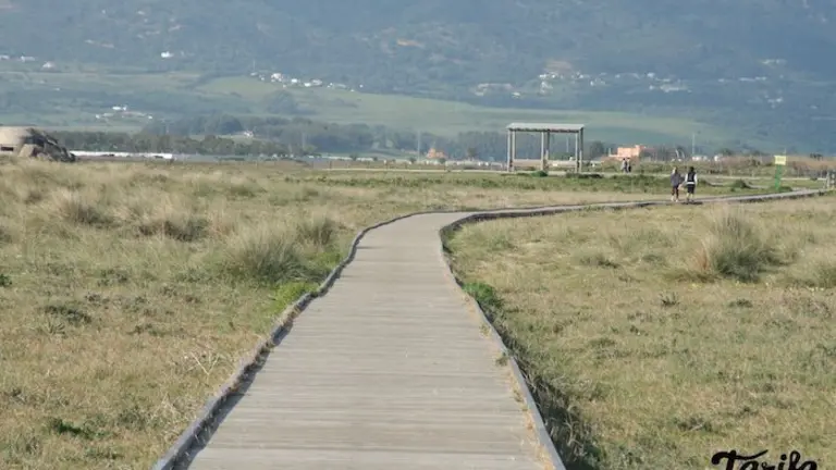 Sendero-en-el-paseo-del-Colesterol-en-Tarifa-en-Cádiz