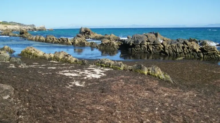 piscinas