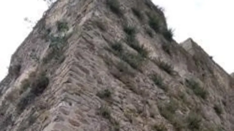 torre maderos 2
