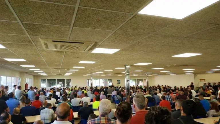 asamblea