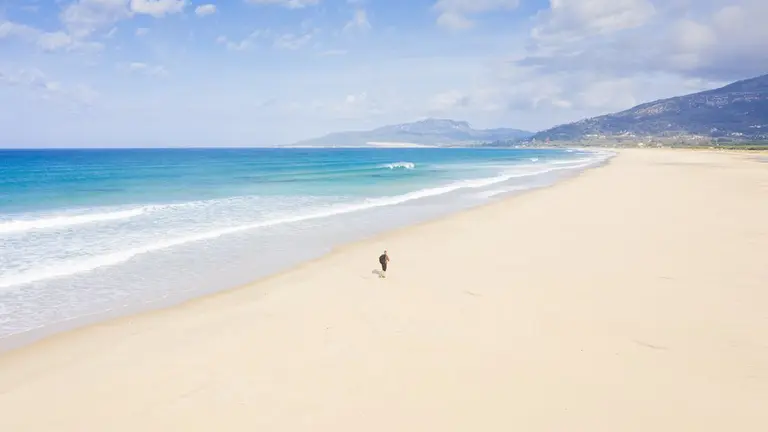 Person running along Los lances beach, Tarifa during the Covid 19 shutdown.
