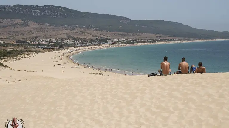 bolonia