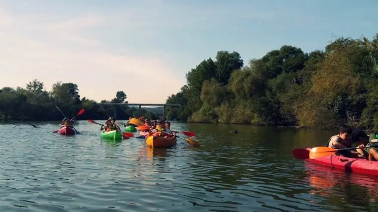 kayaks