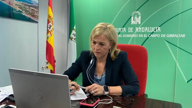 La subdelegada, durante la presentaci&oacute;n.