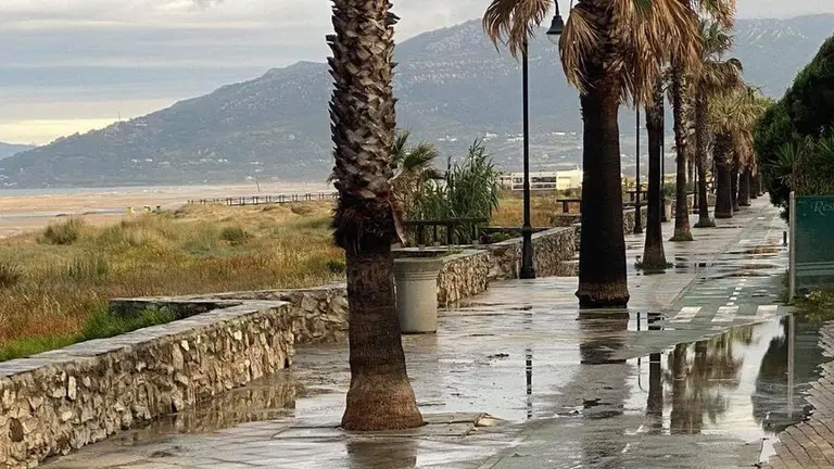 Playa de los Lances (Tarifa, Cadiz), con nuevos vertidos seg&uacute;n alerta la asociaci&oacute;n ecologista Verdemar.

Playa de los Lances (Tarifa, Cadiz), con nuevos vertidos seg&uacute;n alerta la asociaci&oacute;n ecologista Verdemar.


7/6/2020