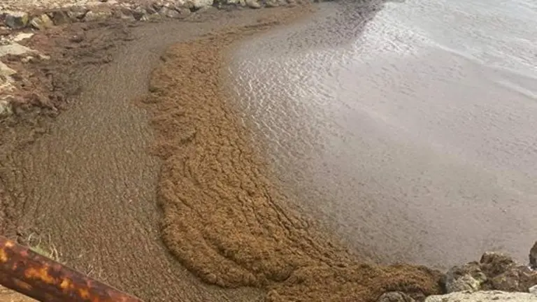 Imagen de la entrada a la Isla de Las Palomas.