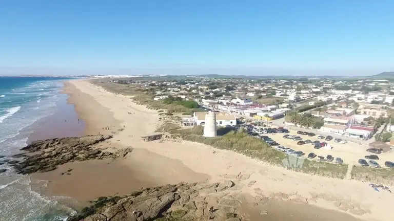 palmar