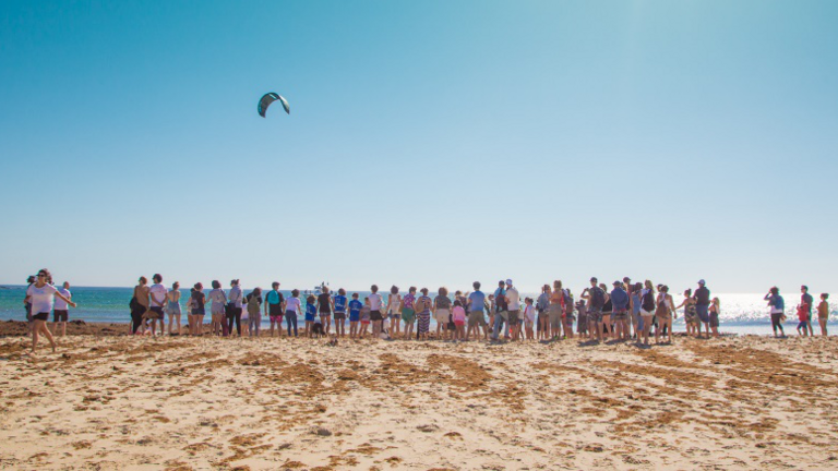 limpieza de playas