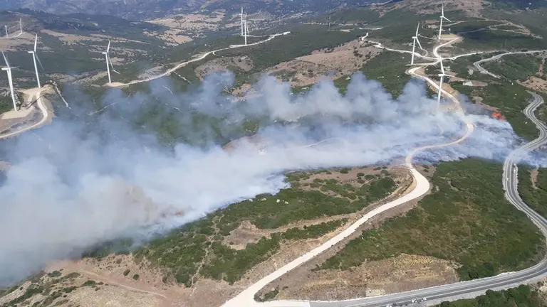 Incendio en el paraje Natural del Mirador, este verano.