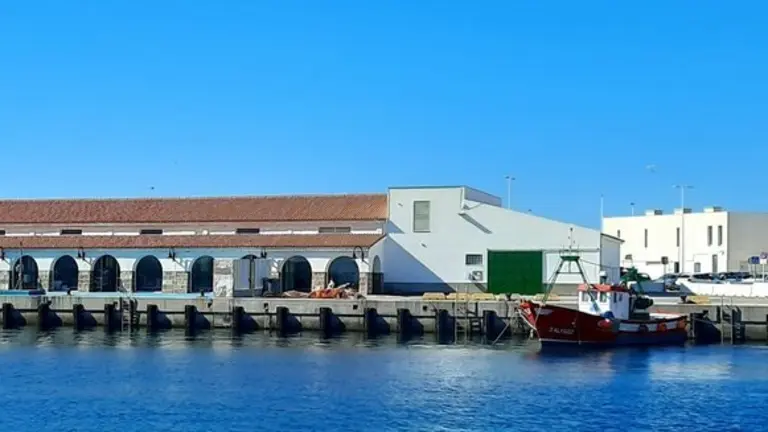 Lonja Tarifa.