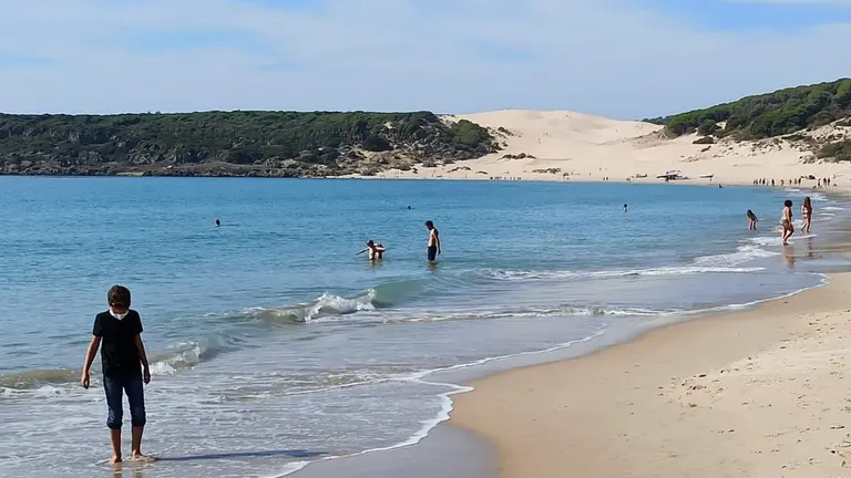 bolonia