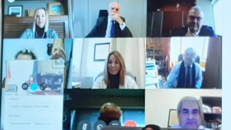 reuni&oacute;n telem&aacute;tica